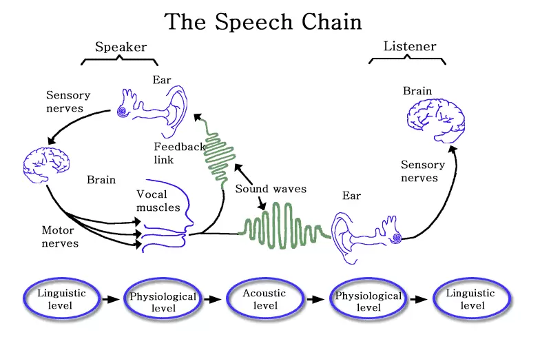 The Connection between ABA Therapy and Speech Development