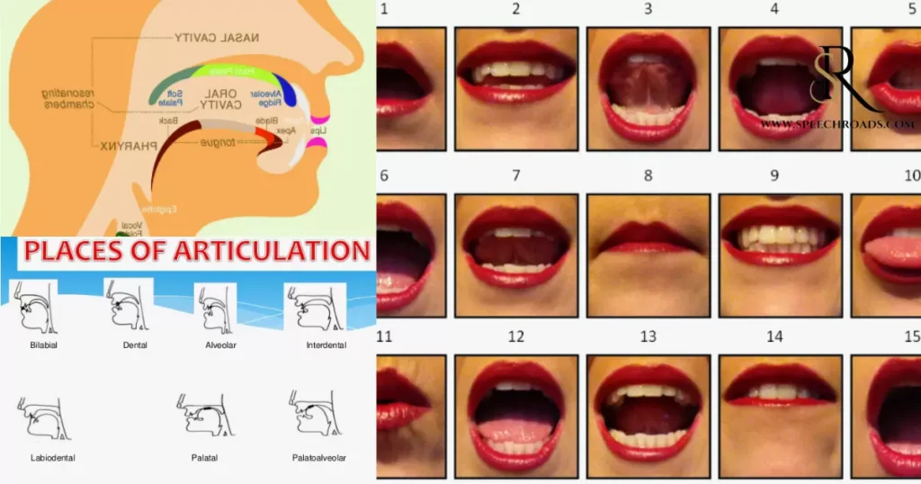 Articulation Exercises