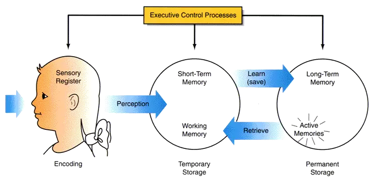 Developing a customized Cognitive education Plan