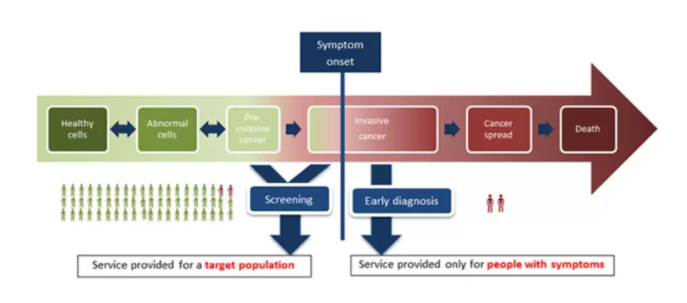 Early and Periodic Screening, Diagnostic, and remedy (EPSDT) utility