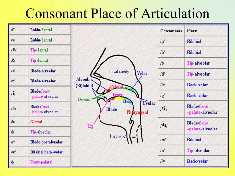 Importance of Articulation Exercises