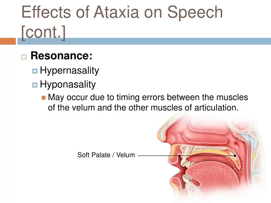 The Connection Between Speech and Swallowing