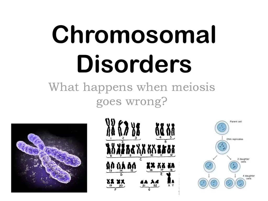 Chromosomal Variations in Autism