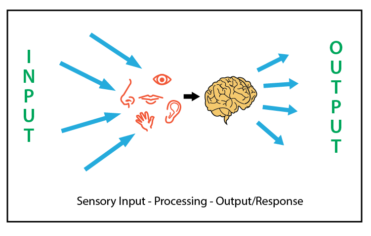 Master 10 Auditory Processing Goals for Effective Speech Therapy for Memory and Sequencing