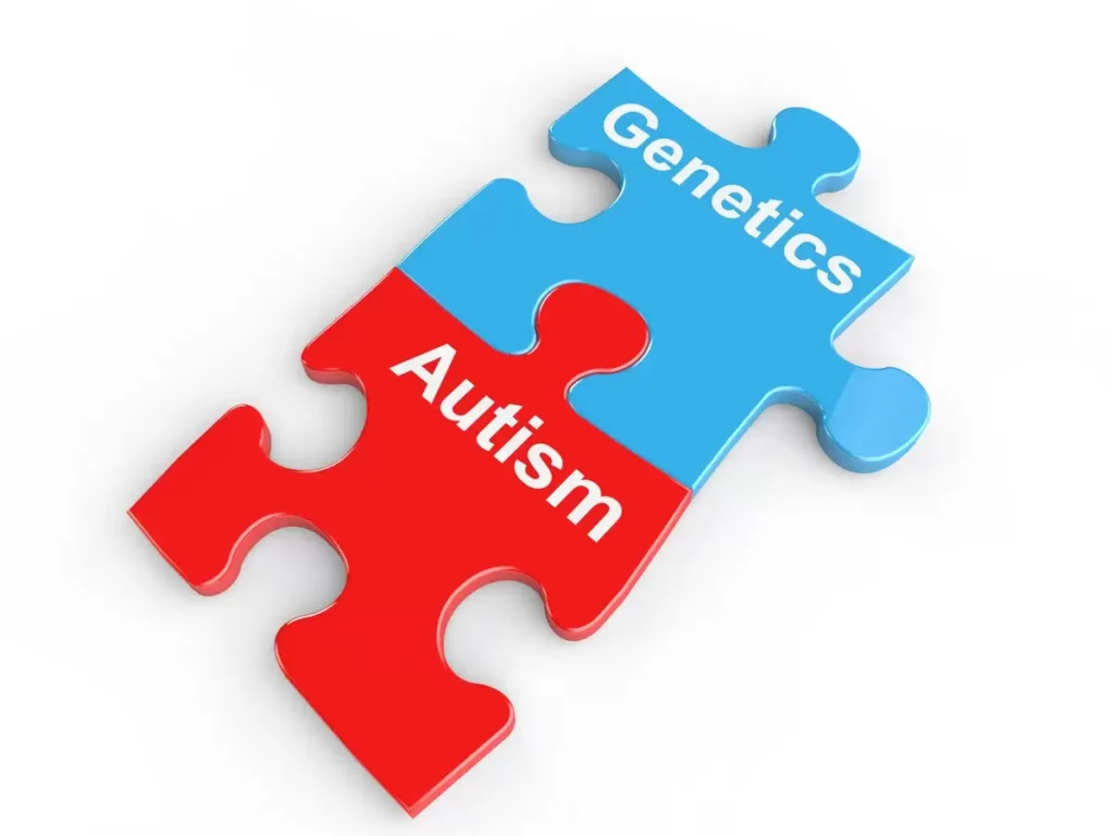 The Role of Genetics in Autism