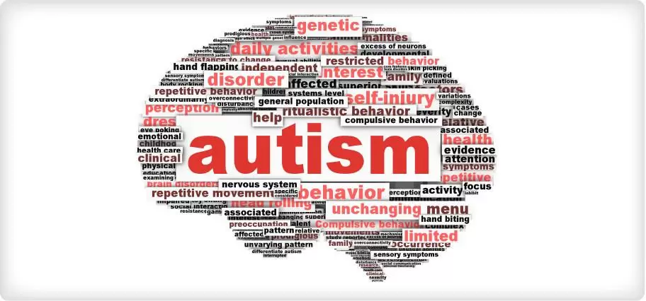 Common Autism-Related Behavior Problems