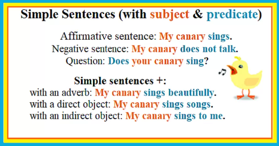 Essential Speech Therapy Sentence Structures for Adults