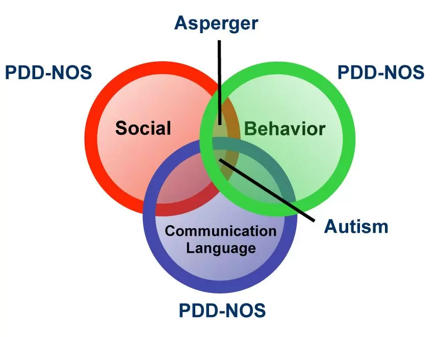 Research Advancements in Understanding the Causes and Treatment of Mild Autism