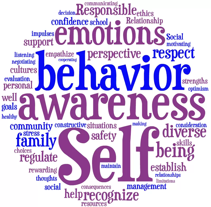 Social and Emotional Behaviors