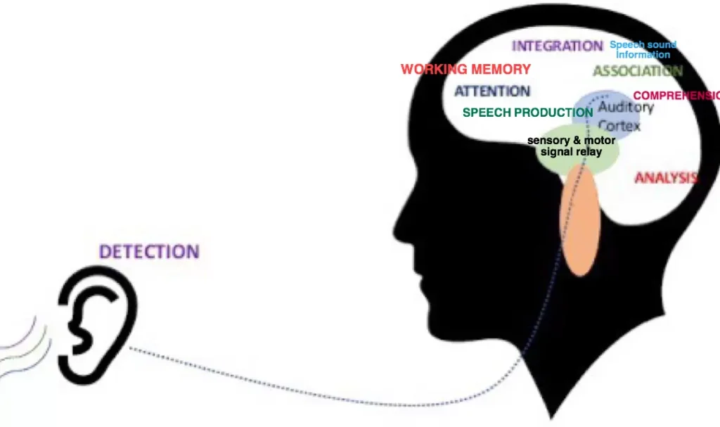 The Challenges Associated with Auditory Stimming