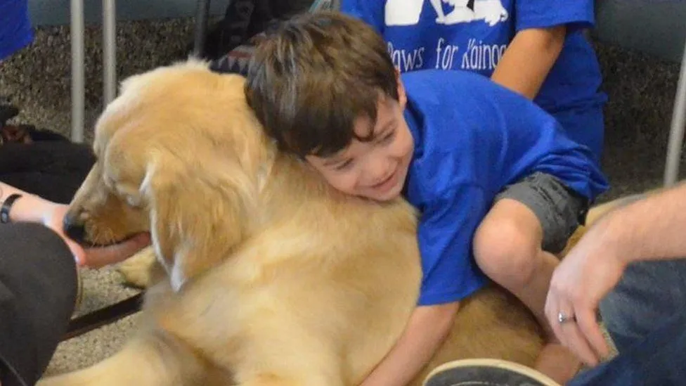 Can Dogs Have Autism Exploring the Possibility