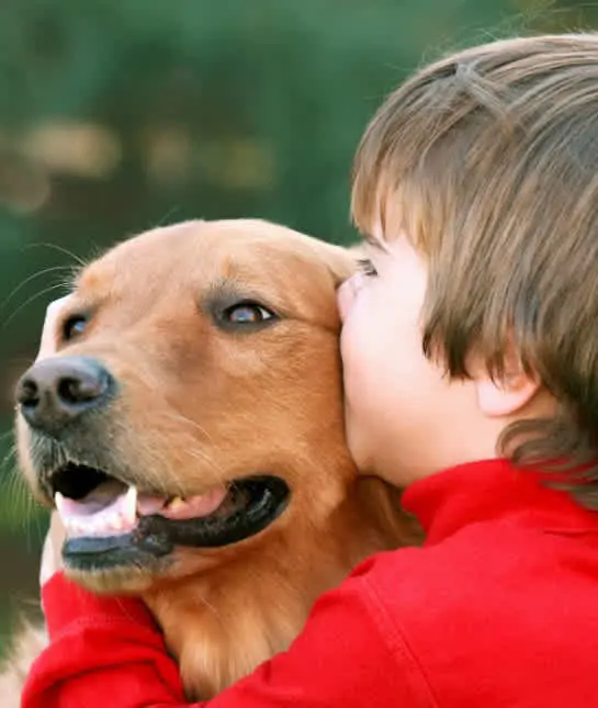 Challenges in Diagnosing Autism in Dogs