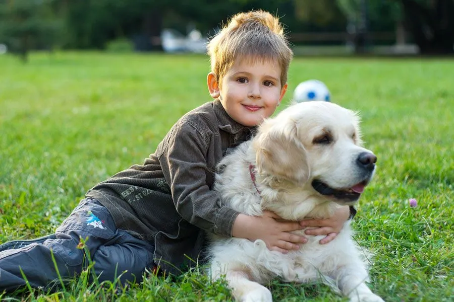 Supporting Dogs with Autism