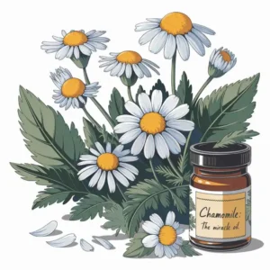 Chamomile The Miracle Oil