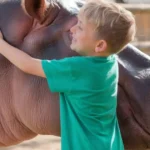 Gain Freedom with Autism HippoTherapy